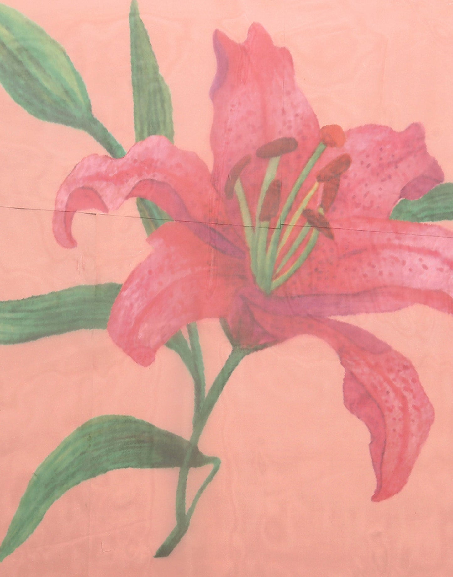 Light Orange Organza Digital Printed Saree