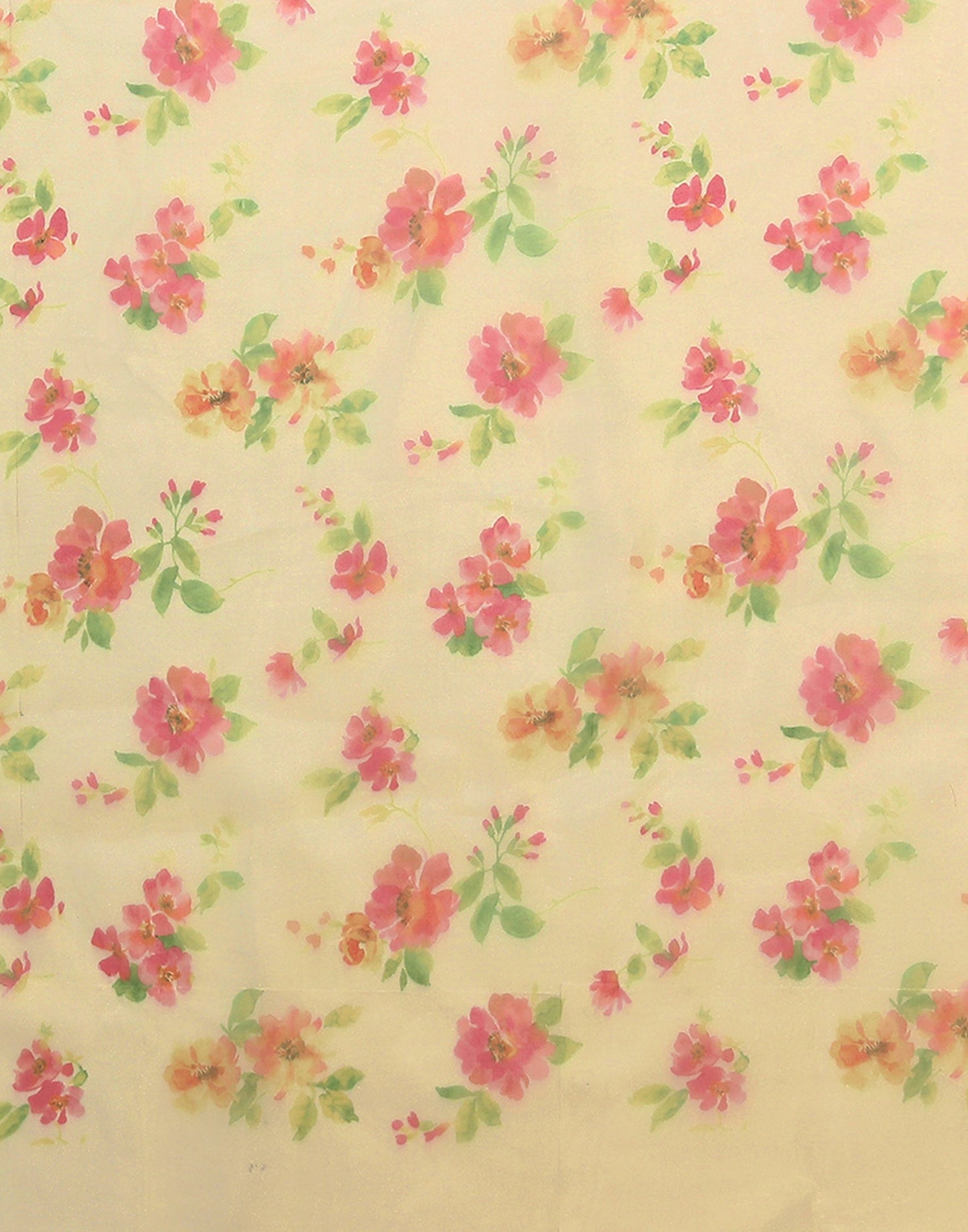 Light Green Organza Digital Printed Saree