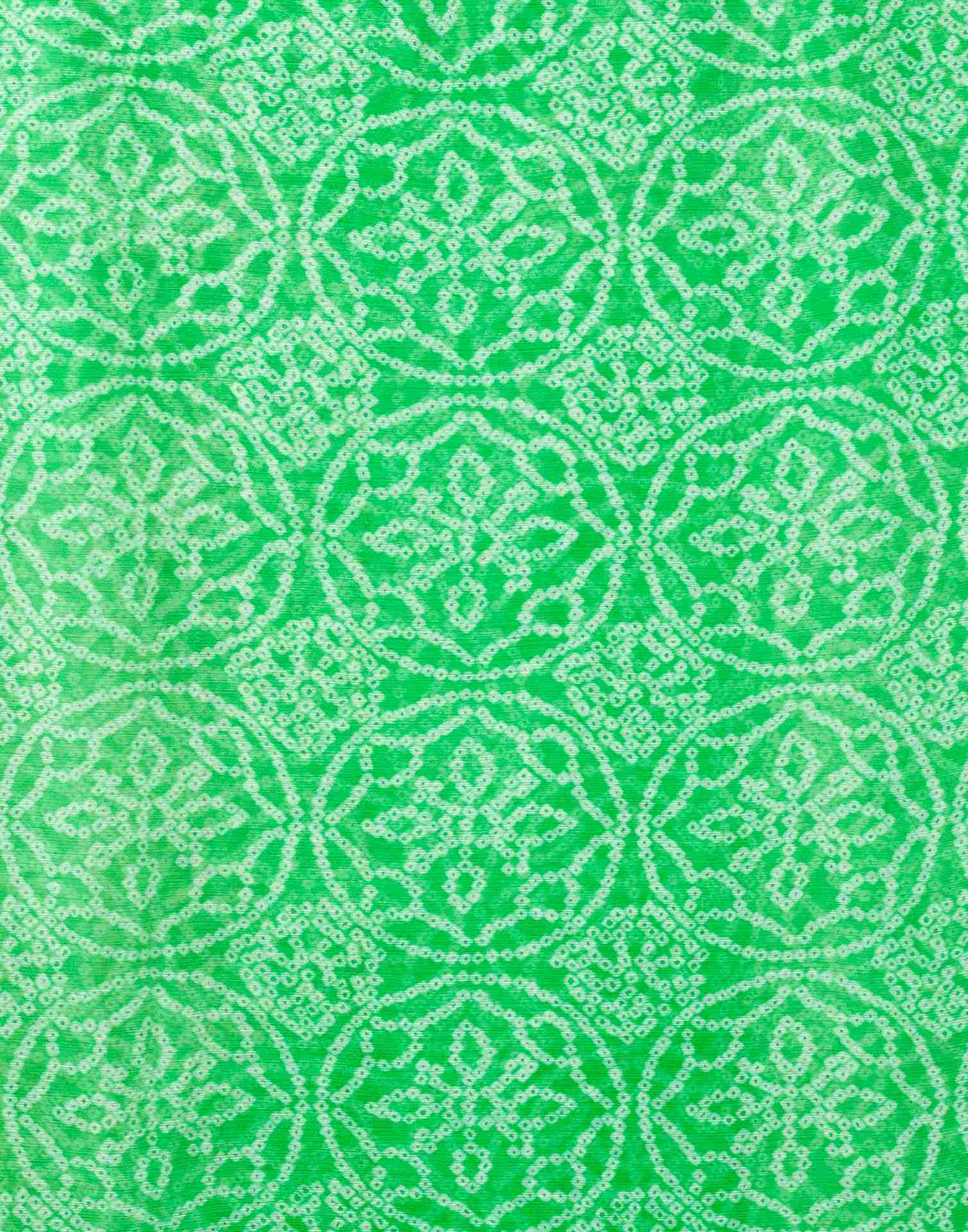 Green Chiffon Printed Saree