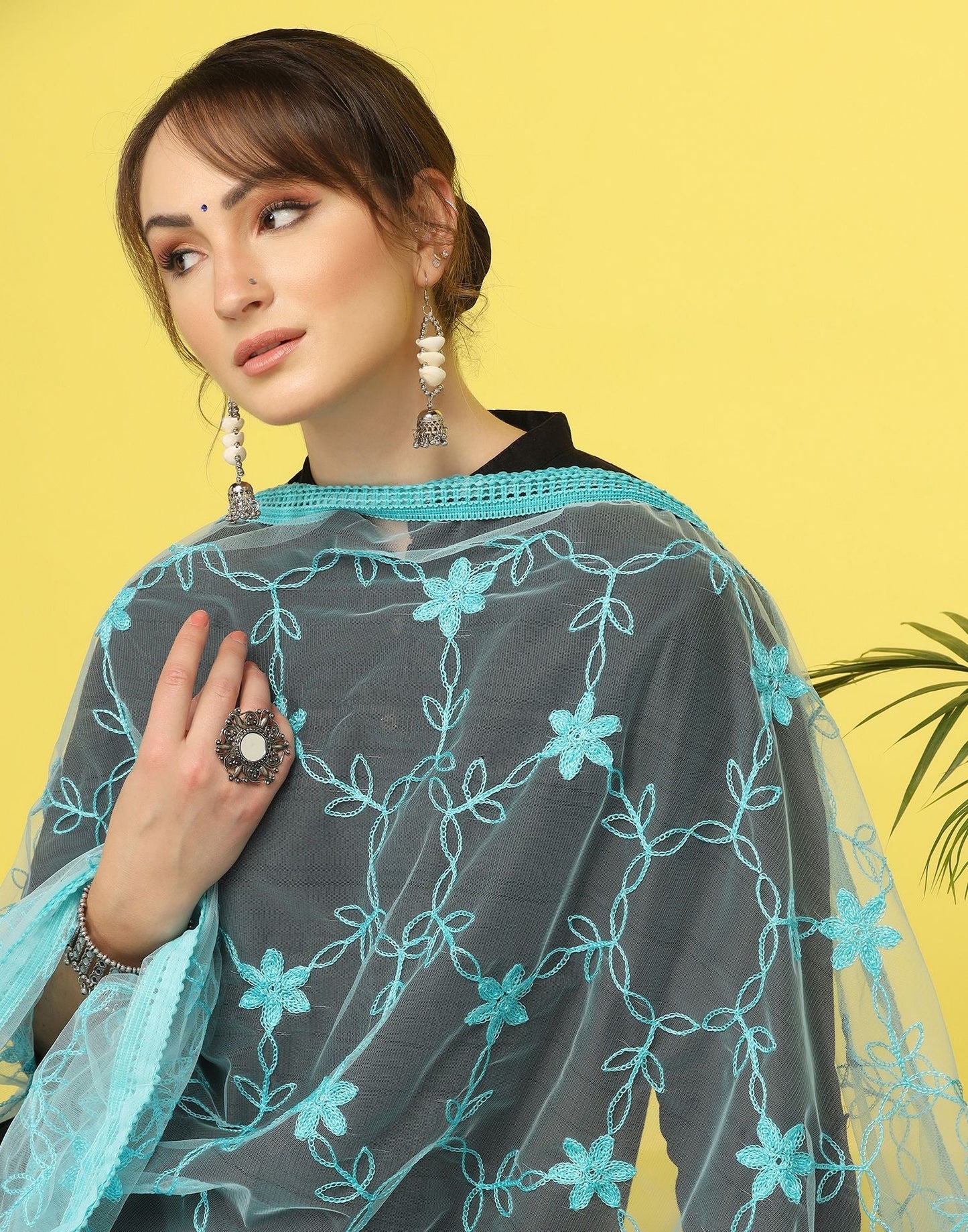 Sky Blue Net Embroidery Dupatta | Leemboodi