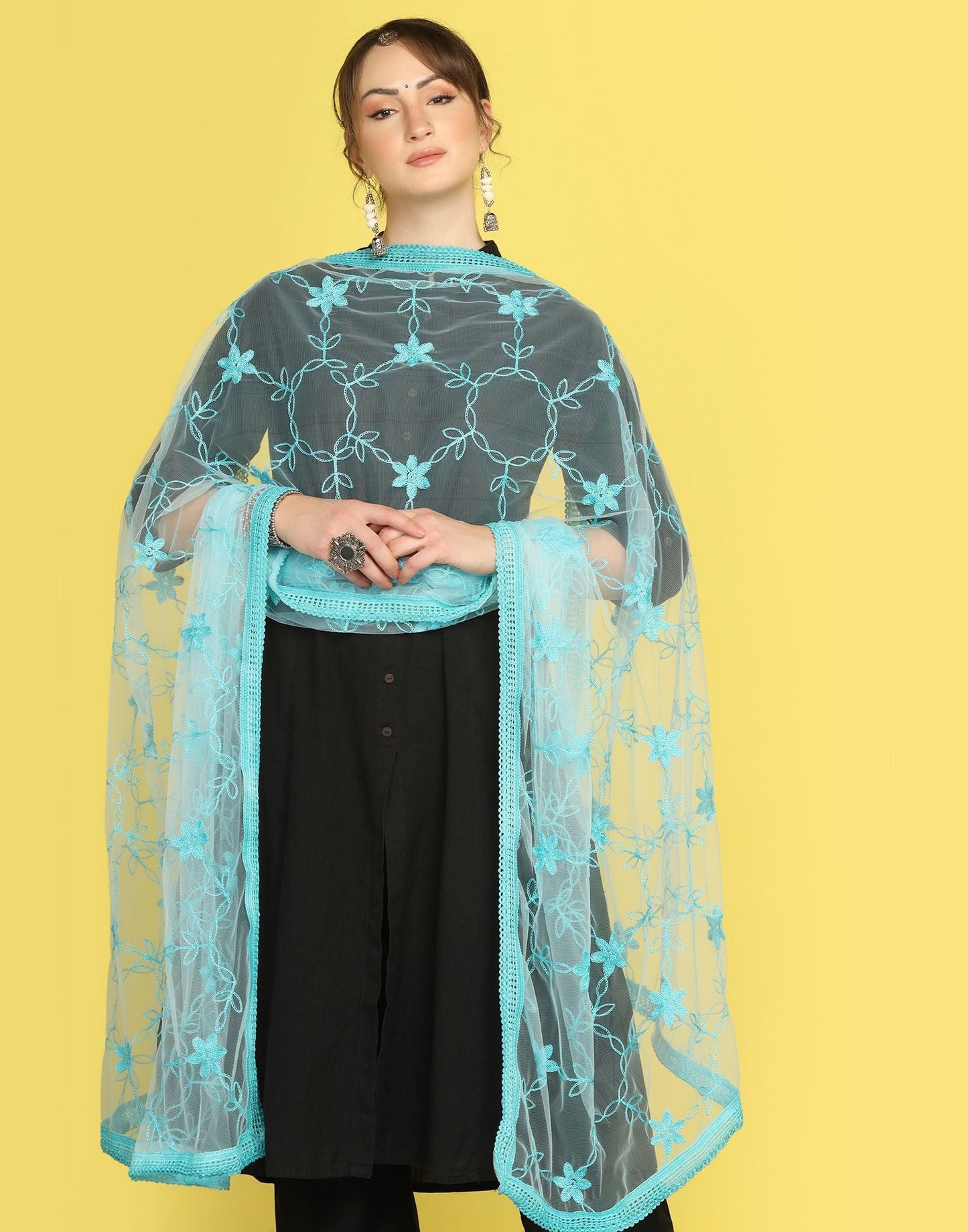 Sky Blue Net Embroidery Dupatta | Leemboodi