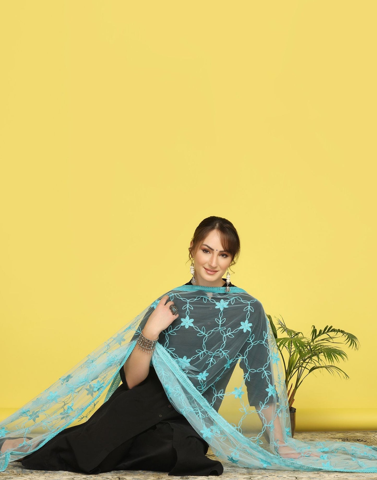 Sky Blue Net Embroidery Dupatta | Leemboodi