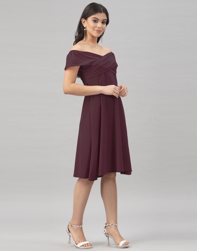 Stylish Dark Brown Coloured Knitted Lycra Dress | Sudathi