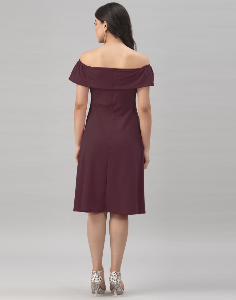 Stylish Dark Brown Coloured Knitted Lycra Dress | Sudathi