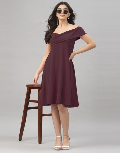 Stylish Dark Brown Coloured Knitted Lycra Dress | Sudathi