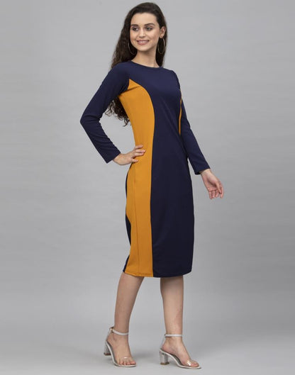 Blue Coloured Knitted Lycra Dress | Leemboodi