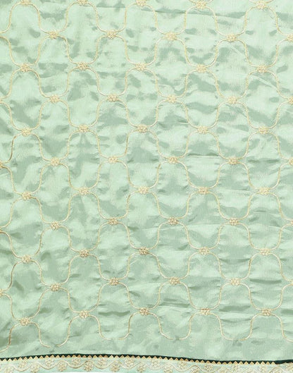 Pista Green Chinon Saree | Sudathi