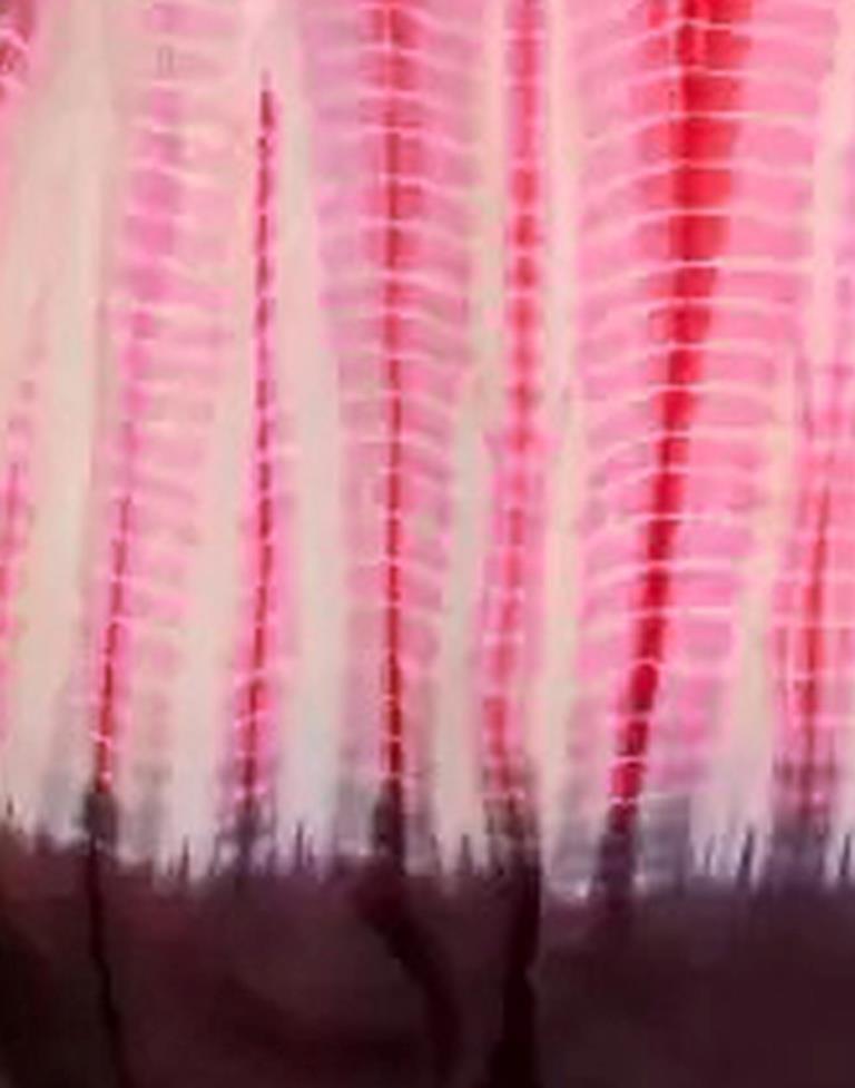 Light Pink Tie And Dye Saree | Sudathi