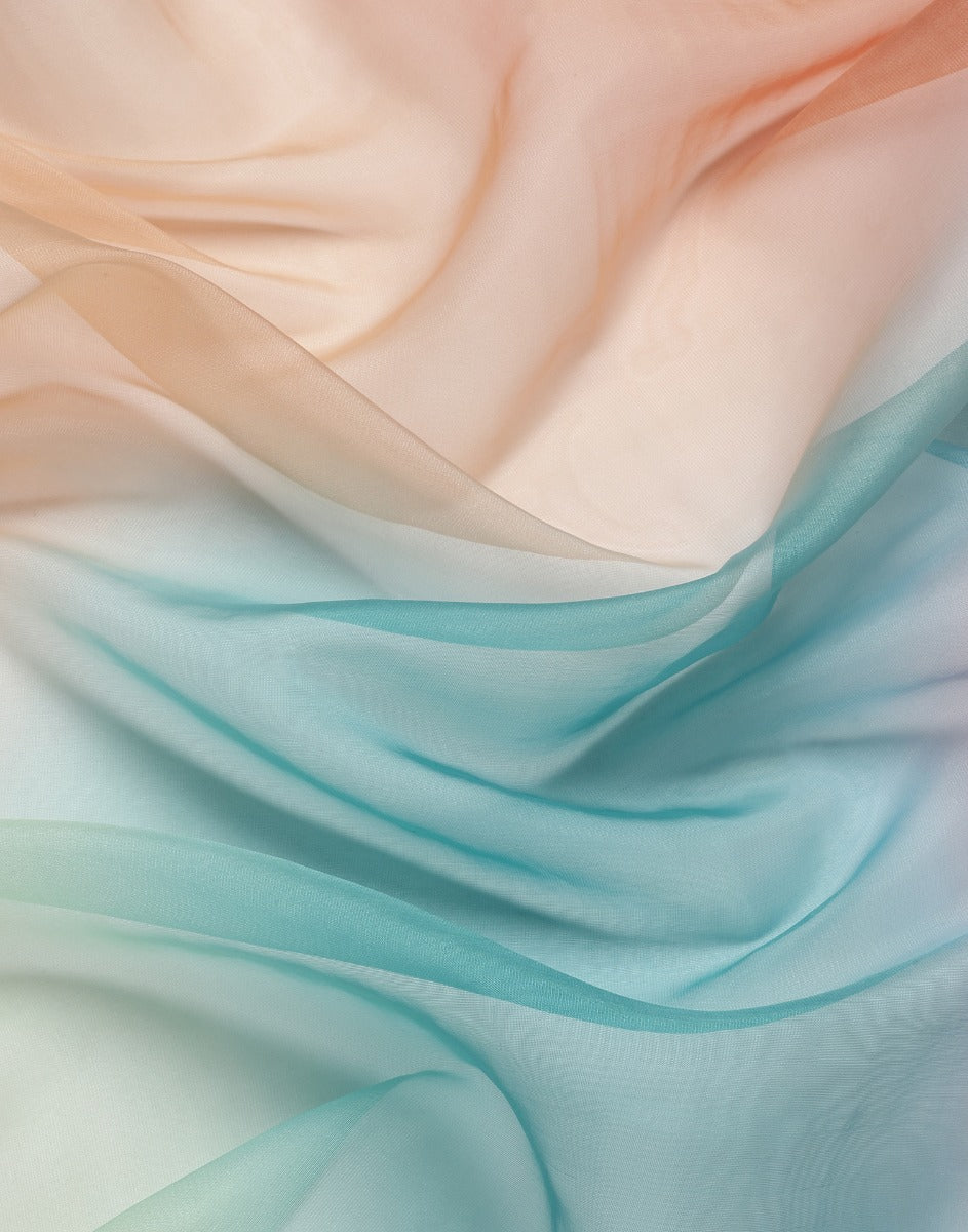 Aqua Blue Organza Saree | Leemboodi