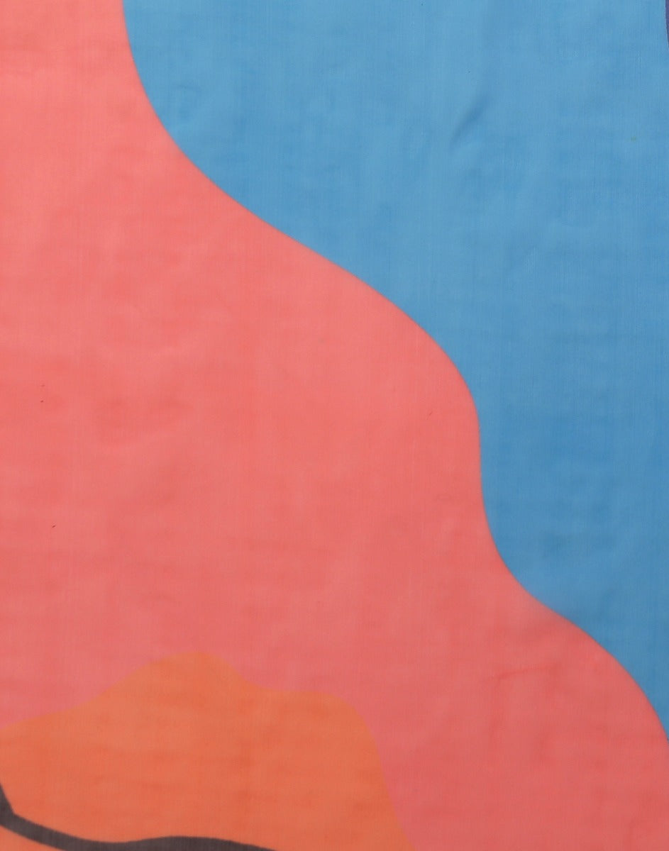 Multicoloured Organza Saree | Leemboodi