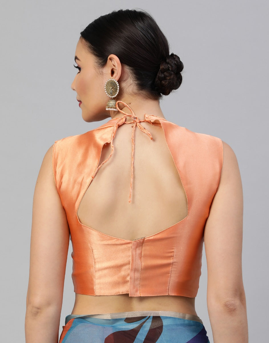 Multicoloured Organza Saree | Leemboodi