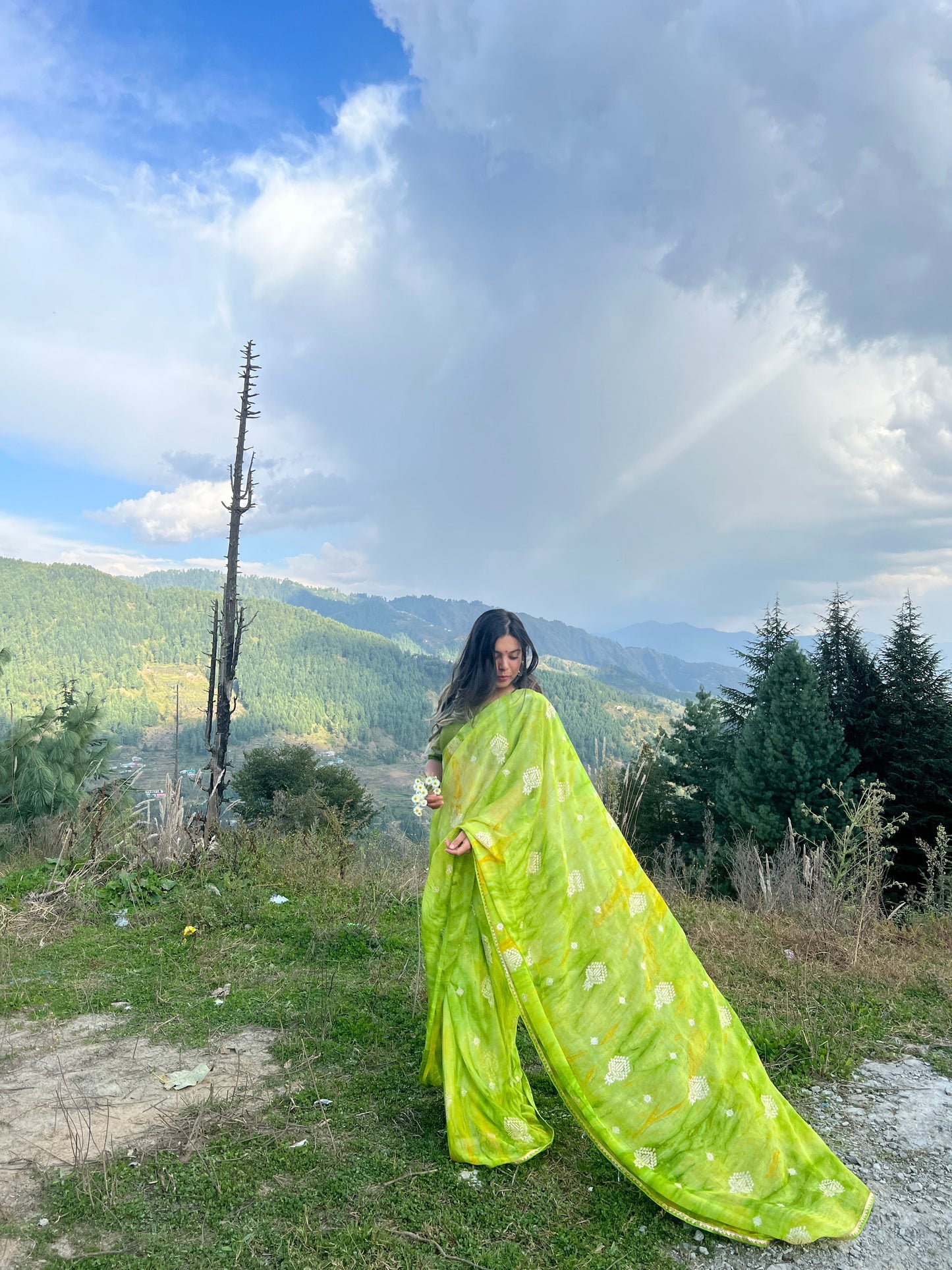 Parrot Green Chiffon Saree | Leemboodi