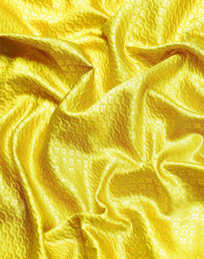 Lime Green Kanjivaram Jacquard Saree | Sudathi