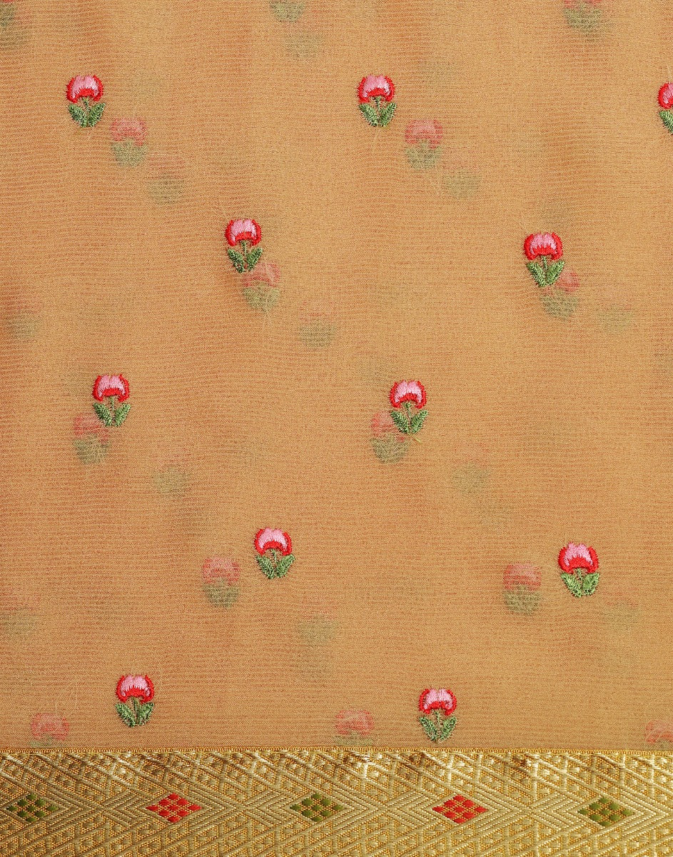 Light Orange Chiffon Embroidery Saree | Leemboodi