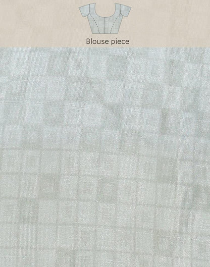 Light Grey Organza Floral Printed Saree