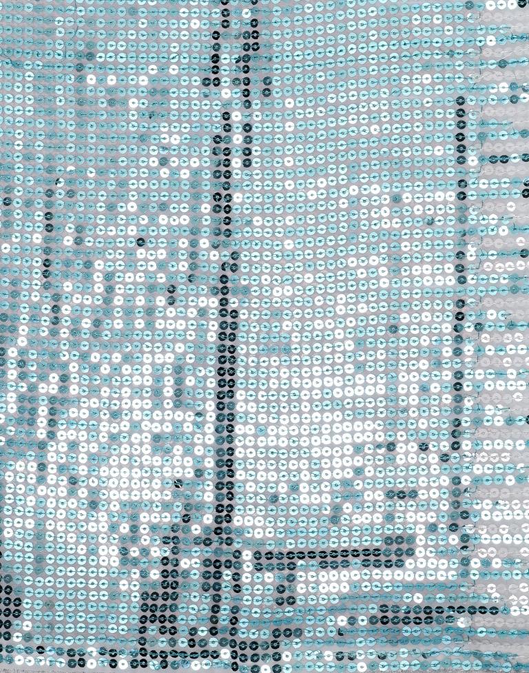 White Georgette Saree | Leemboodi