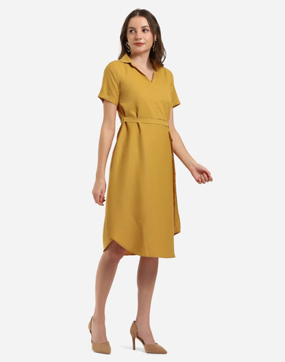 Mustard Flared Dress | Sudathi