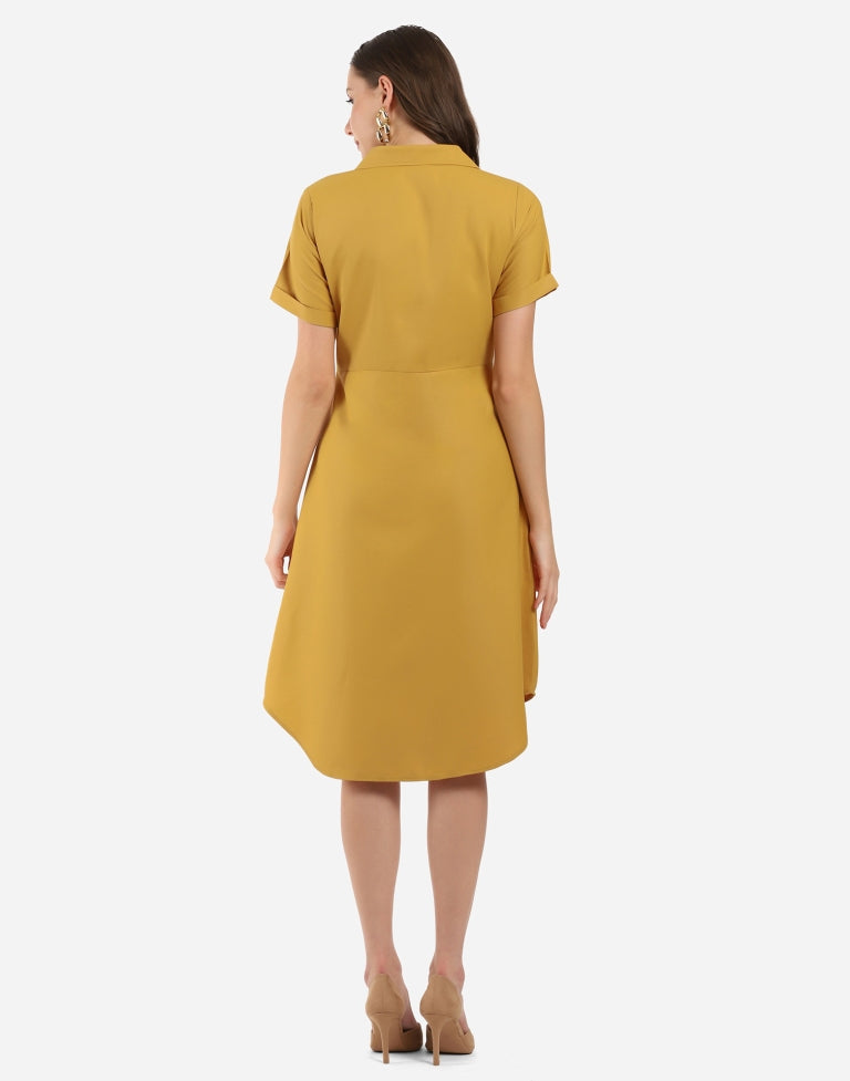 Mustard Flared Dress | Sudathi