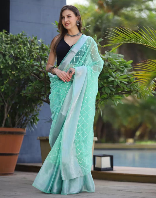 Turquoise Organza Sequence Saree | Leemboodi