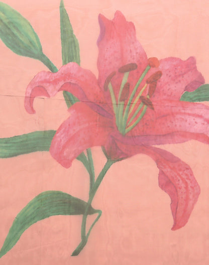 Light Orange Organza Digital Printed Saree