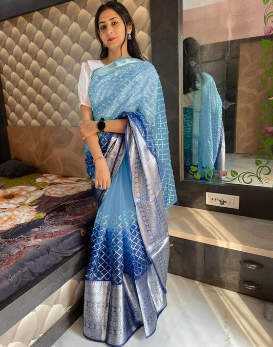 Blue Jacquard Organza Saree