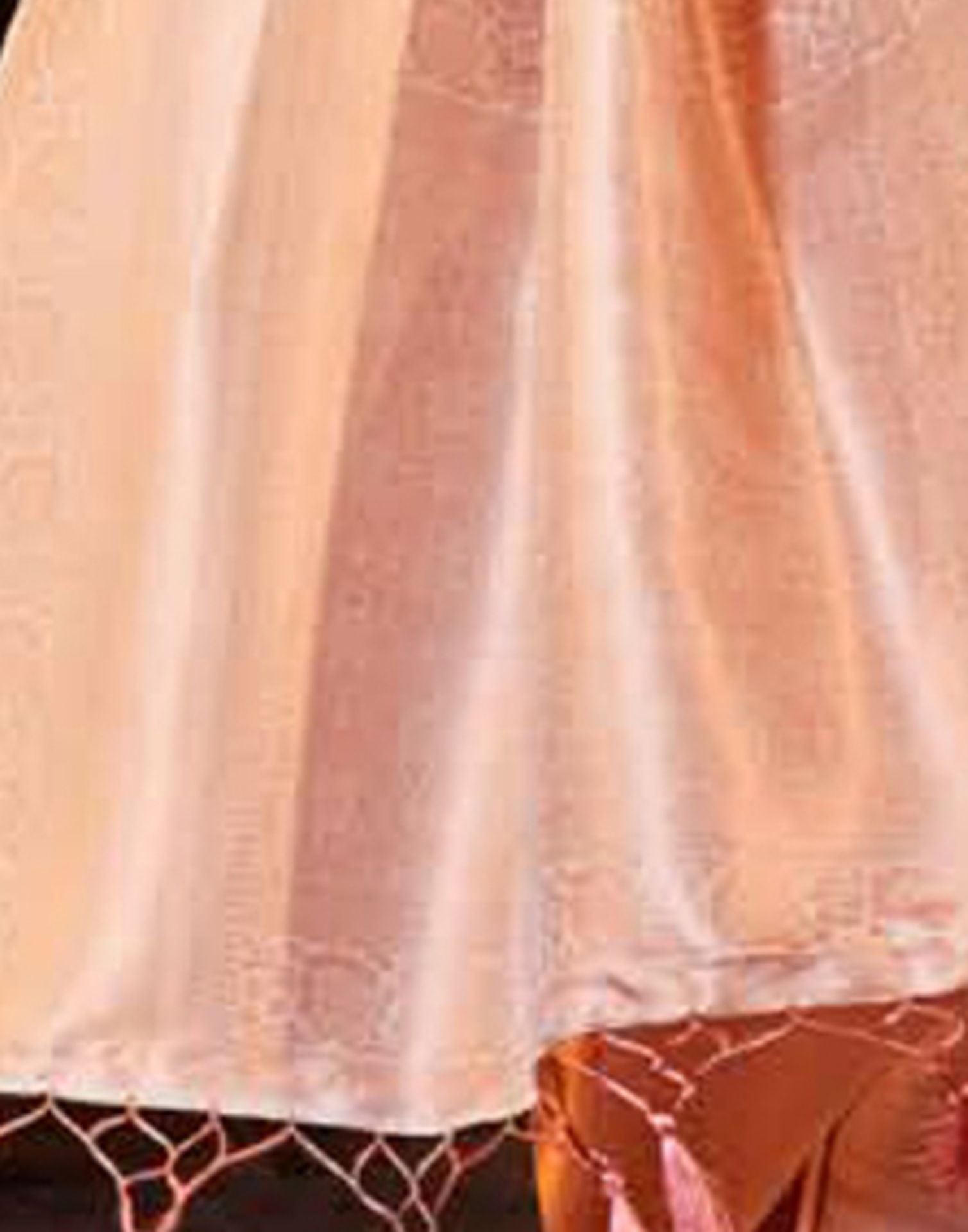 Light Pink Silk Digital Printed Saree With Tassel | Leemboodi