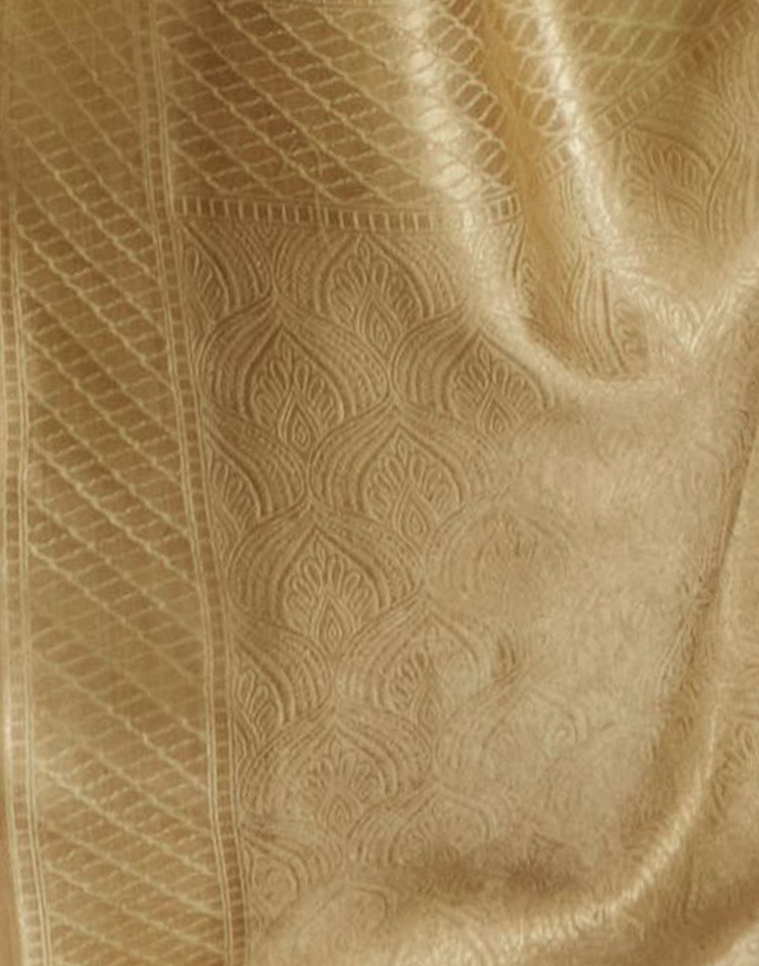 Grey Silk Weaving Banarasi Saree | Leemboodi