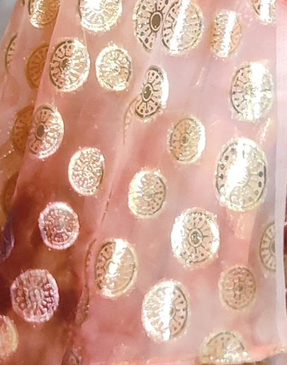 Light Pink Chiffon Embroidery Pre-draped Saree | Sudathi