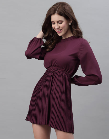 Wine Pleated Dress | Sudathi