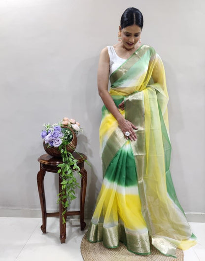 Green Organza Printed Saree