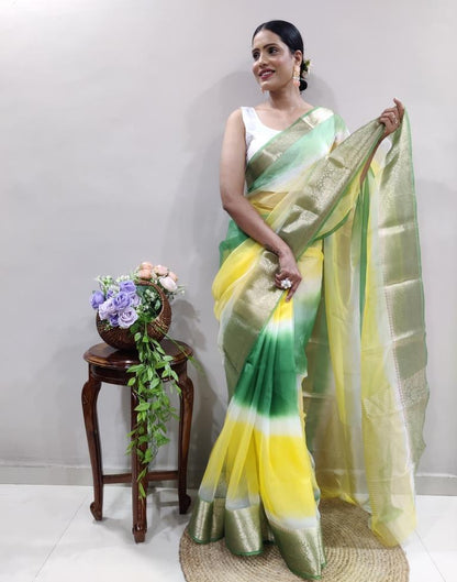 Green Organza Printed Saree