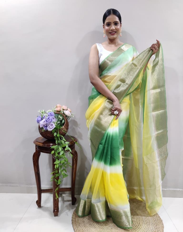 Green Organza Printed Saree