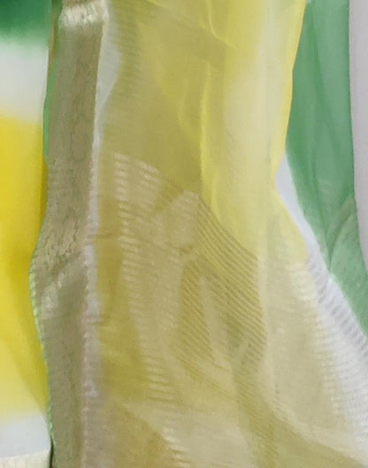 Green Organza Printed Saree