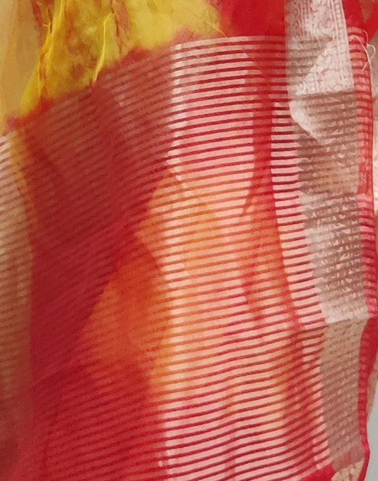 Red Organza Printed Saree