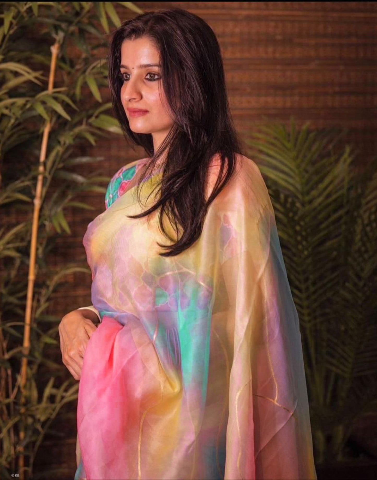 Multicoloured Organza Printed Saree