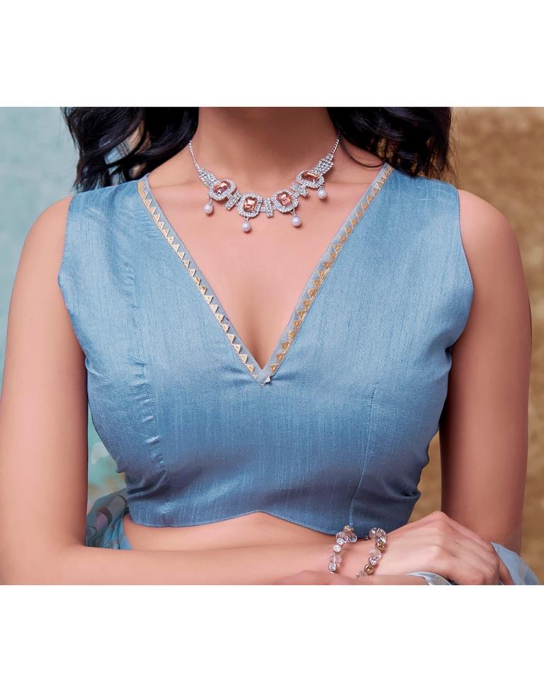 Grey Organza Plain Saree