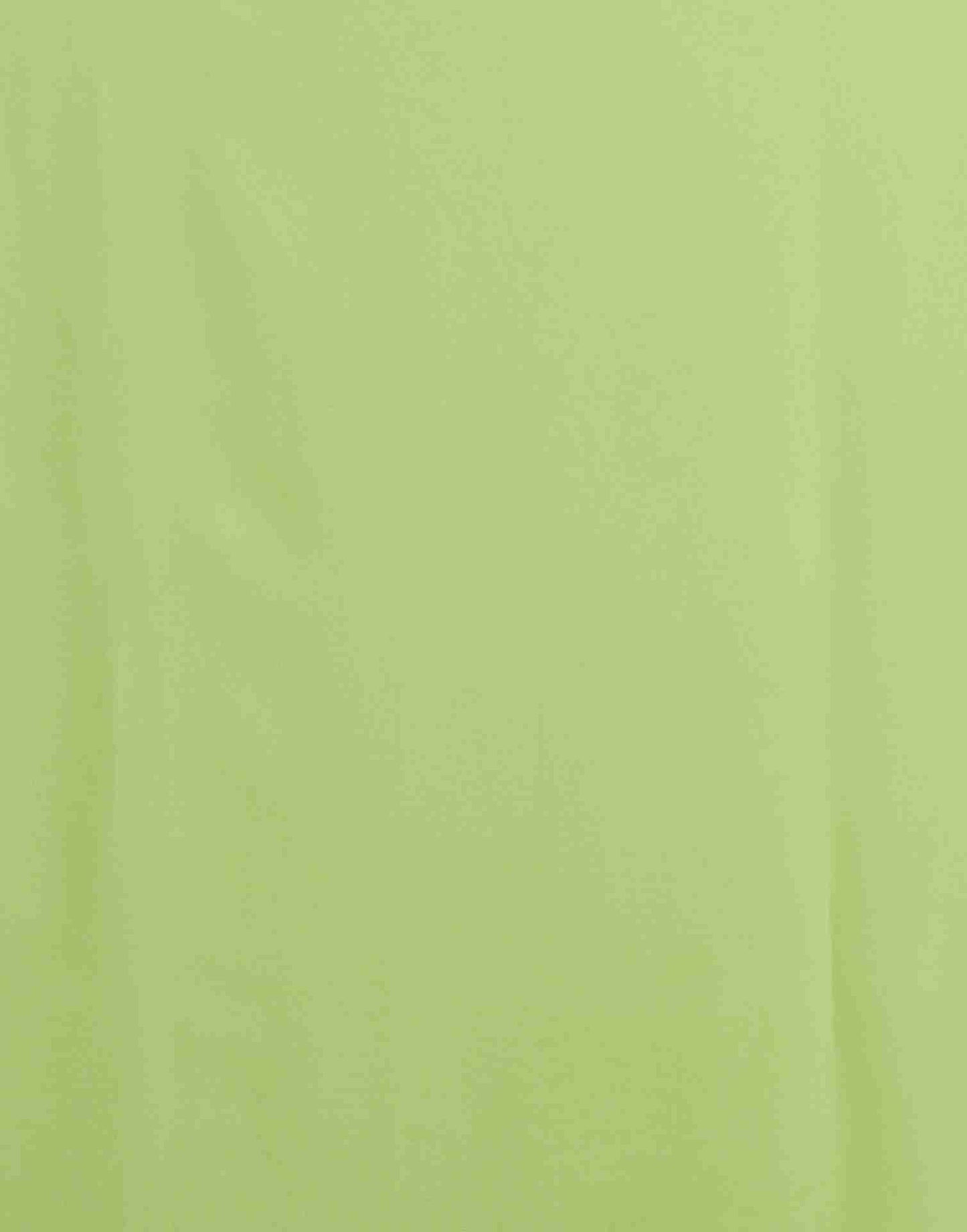 Pastel Green Georgette Plain Saree