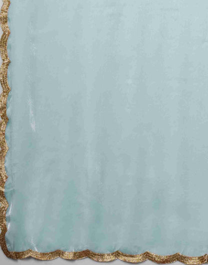 Sky Blue Chiffon Plain Jimmy Choo Saree