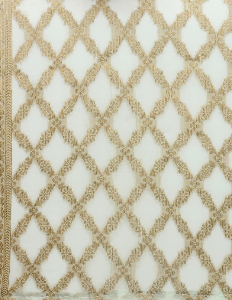 Striking Greenish Grey Coloured Chiffon Jacquard Banarasi Dupatta | Sudathi