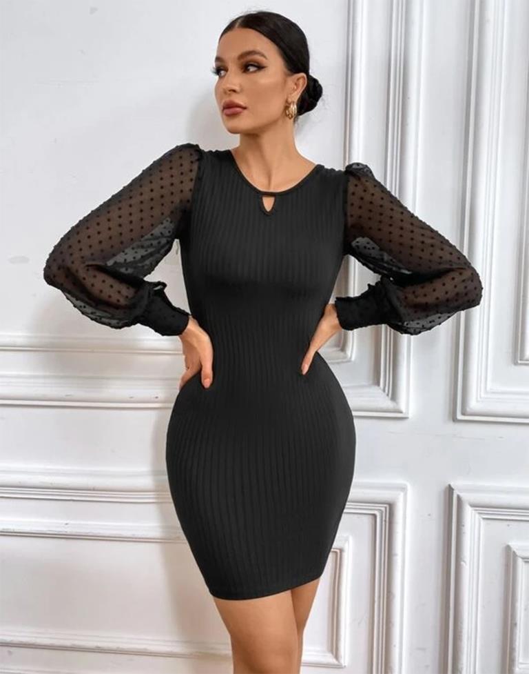 Black Swiss Dot Mesh Sleeve Bodycon Dress | Leemboodi