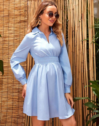 Powder Blue Plain Flared Dress