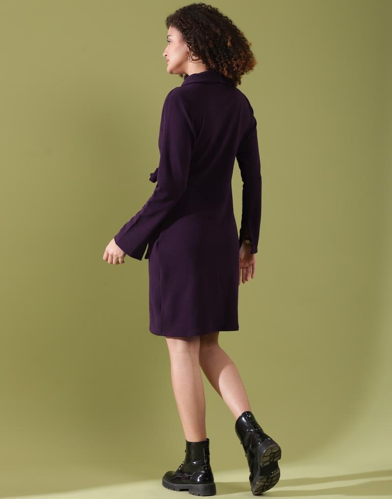 Deep Purple Lycra Plain Straight Dress